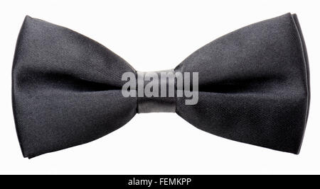 Schwarze Fliege isoliert auf weißem Hintergrund Stockfoto