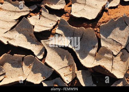 Muster in den Schlamm am Sossusvlei, Namibia Stockfoto