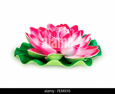Rosa Lotusblüte mit Blatt isoliert auf weiss Stockfoto