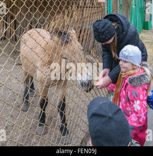 Orel, Russland - 18. Oktober 2015: Kind mit den Eltern füttern Sie die Tiere im Nationalpark "Orlovskoye Polesie" Stockfoto