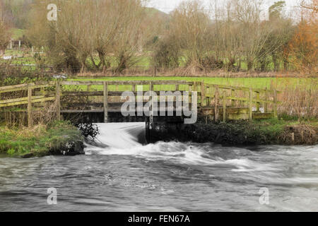 Salisbury, UK. 8. Februar 2016. Fluss Wyle platzen seiner Banken hängt Langford in der Nähe von Salisbury Wiltshire Credit: Paul Chambers/Alamy Live News Stockfoto