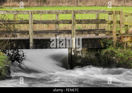 Salisbury, UK. 8. Februar 2016. Fluss Wyle platzen seiner Banken hängt Langford in der Nähe von Salisbury Wiltshire Credit: Paul Chambers/Alamy Live News Stockfoto