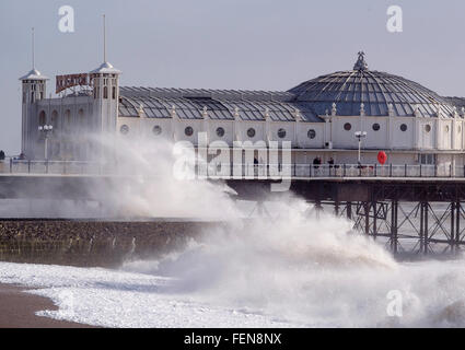 Brighton, UK. 8. Februar 2016. Mit Böen bis zu 60 km/h, Sturm Imogen traf Brighton und Hove auf der Südküste von England. Wind und hohe Wellen lockte Menschen an der Küste, die Elemente zu erleben. Bildnachweis: Scott Hortop/Alamy Live-Nachrichten Stockfoto