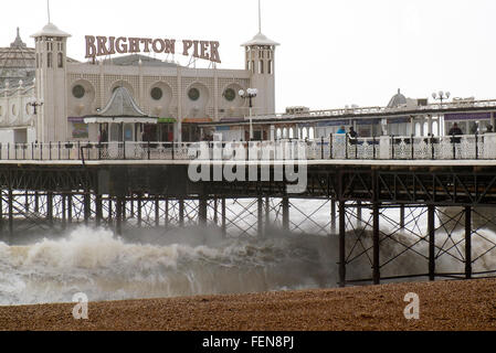 Brighton, UK. 8. Februar 2016. Mit Böen bis zu 60 km/h, Sturm Imogen traf Brighton und Hove auf der Südküste von England. Wind und hohe Wellen lockte Menschen an der Küste, die Elemente zu erleben. Bildnachweis: Scott Hortop/Alamy Live-Nachrichten Stockfoto