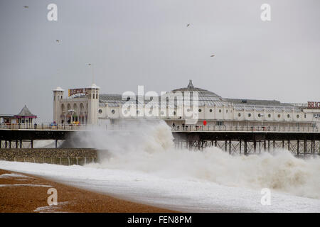 Brighton, UK. 8. Februar 2016. Mit Böen bis zu 60 km/h, Sturm Imogen traf Brighton und Hove auf der Südküste von England. Wind und hohe Wellen lockte Menschen an der Küste, die Elemente zu erleben. Bildnachweis: Scott Hortop/Alamy Live-Nachrichten Stockfoto