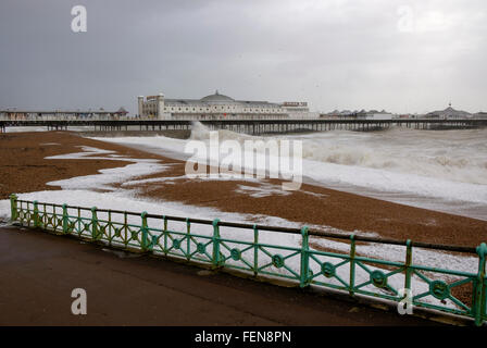 Brighton, UK. 8. Februar 2016. Mit Böen bis zu 60 km/h, Sturm Imogen traf Brighton und Hove auf der Südküste von England. Wind und hohe Wellen lockte Menschen an der Küste, die Elemente zu erleben. Bildnachweis: Scott Hortop/Alamy Live-Nachrichten Stockfoto