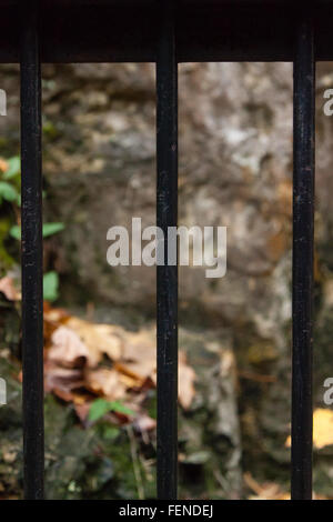 Eine schwarze Schmiedeeisen Zaun Stockfoto