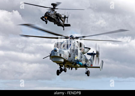 Ein AgustaWestland Wildcat-HMA2 (ZZ515) & Apache AH1 Hubschrauber am RNAS Yeovilton International Air Tag 2015, Somerset, UK. Stockfoto