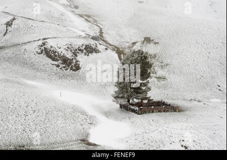 Passhöhe, Winter, Schnee, Kanton Graubünden, Alpen, Schweiz |  Julierpass, Winter, Schnee, Graubünden, Schweiz Stockfoto