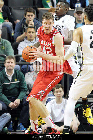 7. Februar 2016: Utah Utes vorwärts Jakob Poeltl (42) packt einen defensiven Rebound bei den NCAA Basketball-Spiel zwischen dem Oregon Ducks und die Utah Utes in Matt Knight Arena, Eugene, OR Stockfoto