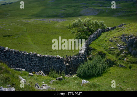 Bettler-Stile in Crummack Dale nahe Clapham Yorkshire Stockfoto