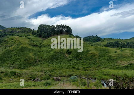 Sterkspruit-Wasserfall-Bereich, KwaZulu-Natal, Drakensberg, Südafrika Stockfoto
