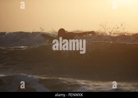 Silhouette des jungen männlichen Surfer Surfen im Meer, Devon, England, UK Stockfoto