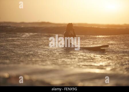 Silhouette des jungen männlichen Surfer und Surfbrett im Meer, Devon, England, UK Stockfoto