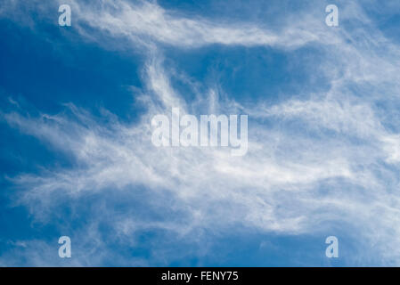 Cirruswolken. Weiß und wispy mit Stuten Geschichten gegen blauen Himmel Stockfoto