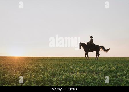 Silhouette Dressurpferd und Reiter, die Ausbildung im Bereich bei Sonnenuntergang Stockfoto