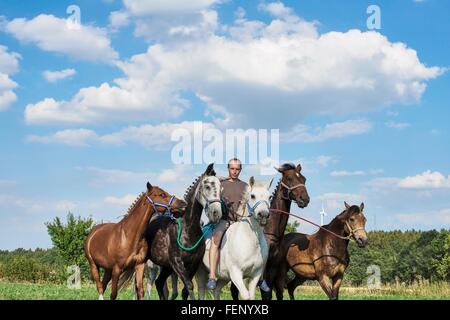 Mitte erwachsenen Mannes Reiten und sechs Pferde im Feld Stockfoto