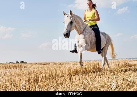 Frau auf grauen Pferd ohne Sattel im Feld Stockfoto