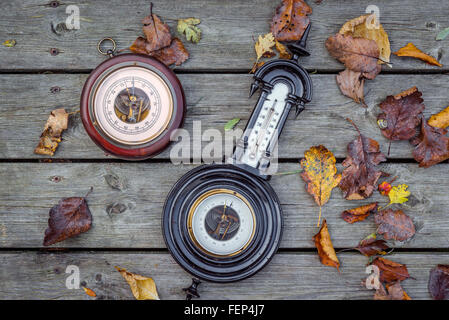 Zwei antike Barometer auf Holz im Herbst Stockfoto