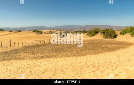 Dünen in Maspalomas auf Gran Canaria. Stockfoto