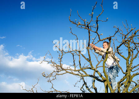 Senior woman Rückschnitt Äste gegen den blauen Himmel mit Wolken Stockfoto