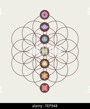 Hauptchakren auf Blume des Lebens Heiligen Geometrie Hintergrund, Harmonie und Balance modernes Design. EPS10 Vektor. Stock Vektor