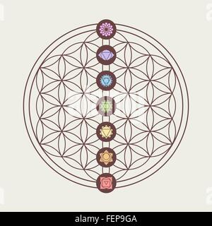 Zen-Konzept Abbildung, sieben Haupt-Chakra-Symbolen auf der Blume des Lebens Heilige Geometrie Gestaltung gelegt. EPS10 Vektor. Stock Vektor