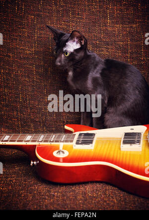 schwarzen orientalisch Kurzhaarkatze, die sitzt in der Nähe von e-Gitarre Stockfoto
