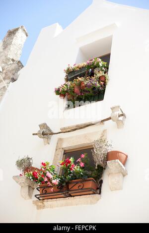 Blumen in Balkonkästen auf weiße Gebäude, Apulien, Italien Stockfoto