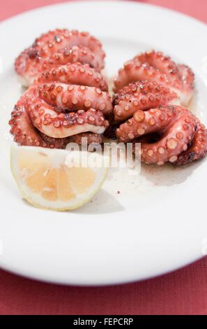 Gegrillter Tintenfisch auf Teller mit Zitronenscheibe Stockfoto