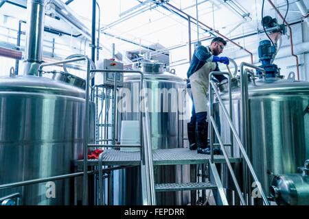 Junger Mann in der Brauerei trägt Schürze testen Bier im tank Stockfoto