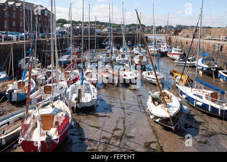 Überfüllten Hafen in North Berwick Stockfoto