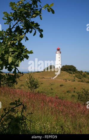 Leuchtturm Dornbusch auf der Insel Hiddensee in Deutschland Stockfoto