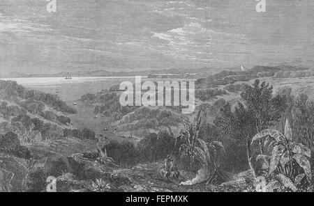 AUCKLAND Manukau Hafen. New Zealand 1863. Illustrierte London News Stockfoto