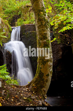 Wasserfall bei Lumsdale nahe Matlock in Derbyshire Peak District England UK wo frühe industrielle Gebäude durch Wasser angetrieben wurden Stockfoto