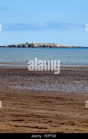 Blick auf den Leuchtturm auf Inner Farne und den Strand von gemeinsame an der Northumberland Küste in Nord-Ost England UK Stockfoto