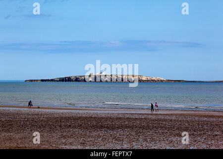 Blick auf den Leuchtturm auf Inner Farne und den Strand von gemeinsame an der Northumberland Küste in Nord-Ost England UK Stockfoto