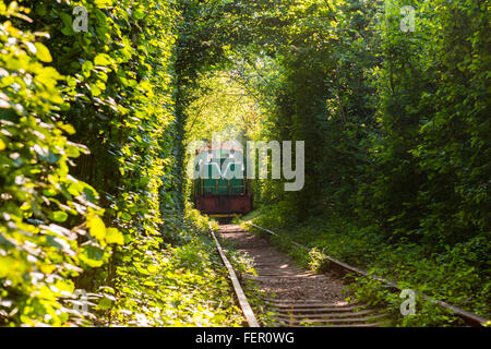 Güterzug mit Holz durchläuft einen natürlichen Tunnel genannt "Tunnel of Love" in Klevan, Region Rovno, Ukraine Stockfoto