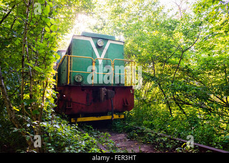 Güterzug mit Holz durchläuft einen natürlichen Tunnel genannt "Tunnel of Love" in Klevan, Region Rovno, Ukraine Stockfoto