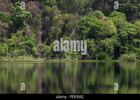 Tropischen Trockenwald und Spiegelungen im Wasser des Lac Ravelobe. Ankarafantsika. Nationalpark. Nord-West-Madagaskar. Stockfoto