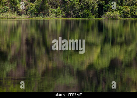 Tropischen Trockenwald und Spiegelungen im Wasser des Lac Ravelobe. Ankarafantsika. Nationalpark. Nord-West-Madagaskar. Stockfoto