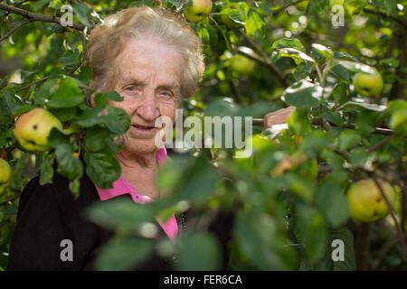 Ältere Frau Porträt in einer Apfelplantage. Stockfoto