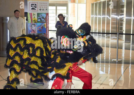 Phoenix, Arizona, USA. 8. Februar 2016. Gekleidet in ein Drachenkostüm Tänzer für die Gäste im Rathaus der Stadt Phoenix. Der Tanz auf die kommenden Ereignisse des chinesischen Woche Glück bringen soll. Bildnachweis: Jennifer Mack/Alamy Live-Nachrichten Stockfoto