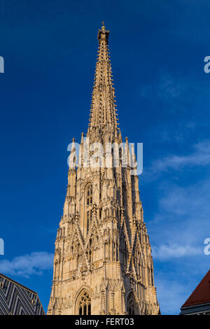 Teil der südlichen Turm der St.-Stephans Kathedrale (Stephansdom) in Wien im Laufe des Tages Stockfoto