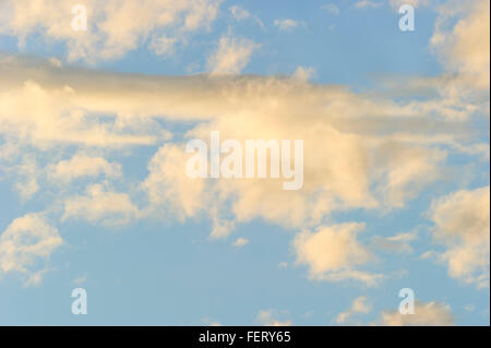 Clouds ist ein detailliertes Bild der Cumulus Wolken Wolken am blauen Himmel tagsüber schweben. Stockfoto