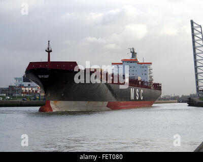 MSC Roberta (Schiff, 1993), IMO 9038907, Hafen von Antwerpen, Belgien-Bild 1 Stockfoto