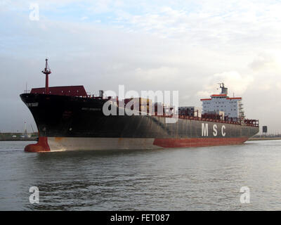 MSC Roberta (Schiff, 1993), IMO 9038907, Hafen von Antwerpen, Belgien-Bild 3 Stockfoto