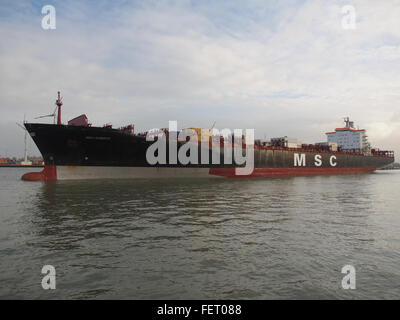 MSC Roberta (Schiff, 1993), IMO 9038907, Hafen von Antwerpen, Belgien-Bild 6 Stockfoto