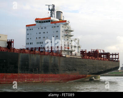 MSC Roberta (Schiff, 1993), IMO 9038907, Hafen von Antwerpen, Belgien-Bild 7 Stockfoto