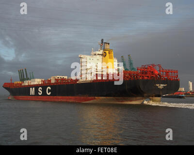 MSC Roberta (Schiff, 1993), IMO 9038907, Hafen von Antwerpen, Belgien-pic12 Stockfoto